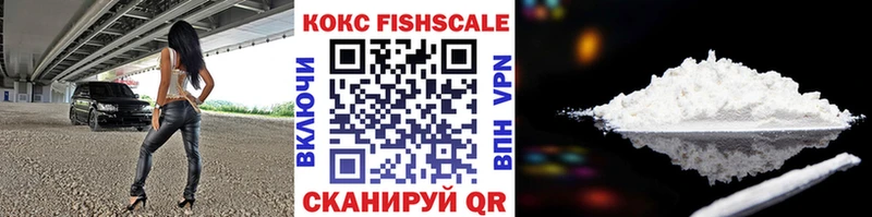 Cocaine VHQ  MEGA зеркало  Гвардейск  где продают  
