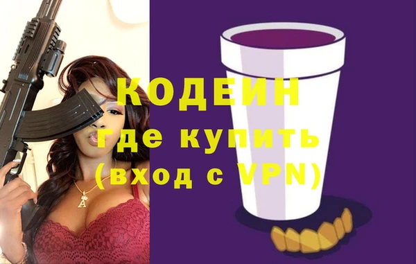 молекула духа Арсеньев