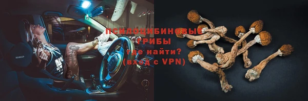 прущий лед Армянск
