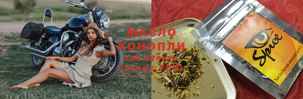 молекула духа Арсеньев