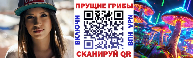 как найти закладки  Гвардейск  blacksprut ONION  Псилоцибиновые грибы мицелий 