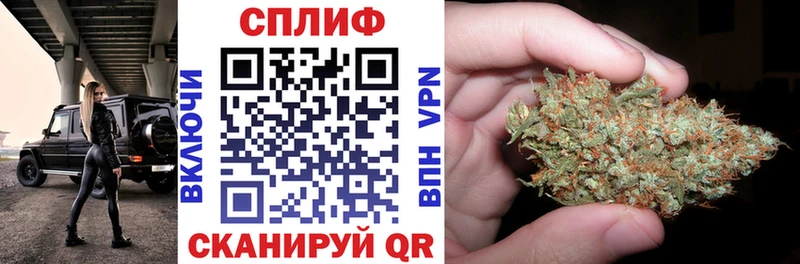 Бошки марихуана гибрид Гвардейск